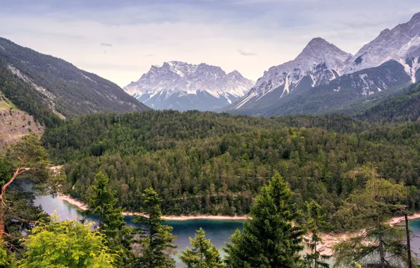 Forest, the sky, landscape, mountains, nature, river, beauty, tree