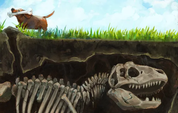 Picture grass, earth, dinosaur, dog, art, skeleton, bone