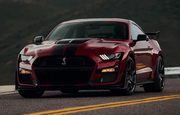 Markup, Mustang, Ford, Shelby, GT500, bloody, 2019