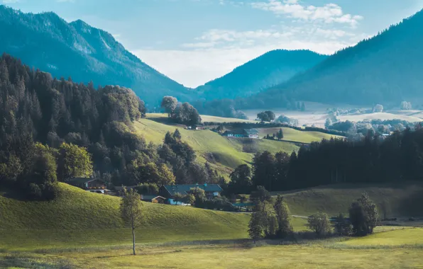 Forest, trees, mountains, fog, hills, field, home, Germany