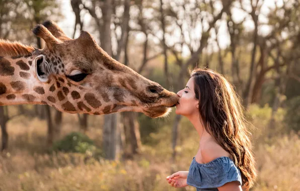 Picture Girl, Kiss, Giraffe, Face, Africa, Africa, Kenya, Giraffe