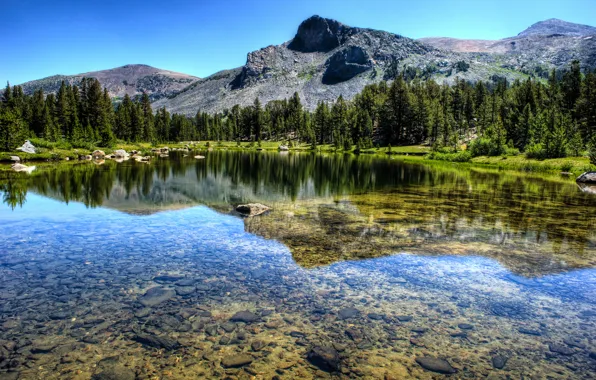 Forest, landscape, mountains, nature, lake, river, Yosemite National Park