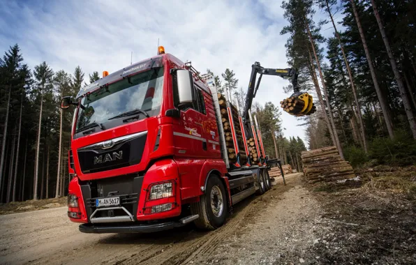 Truck, the truck, MAN, machinery