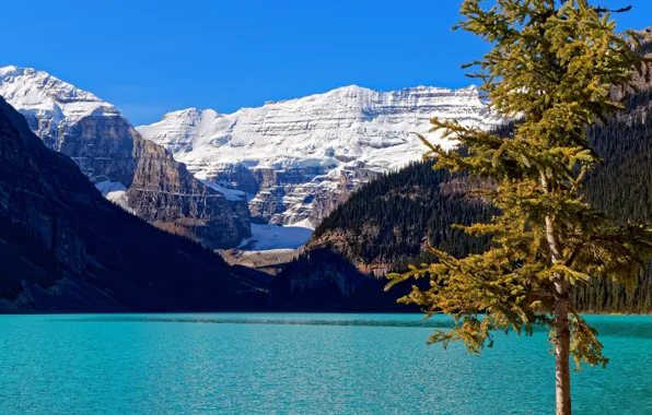 Picture lake Louise, Banff national Park, Albert, Banff National Park, Canada