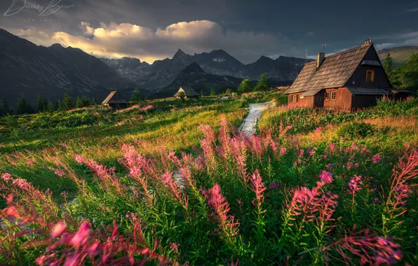 Picture landscape, mountains, clouds, nature, home, Poland, grass, national Park