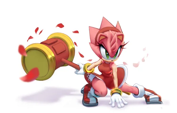 Picture art, Amy Rose, Sonic the Hedgehog