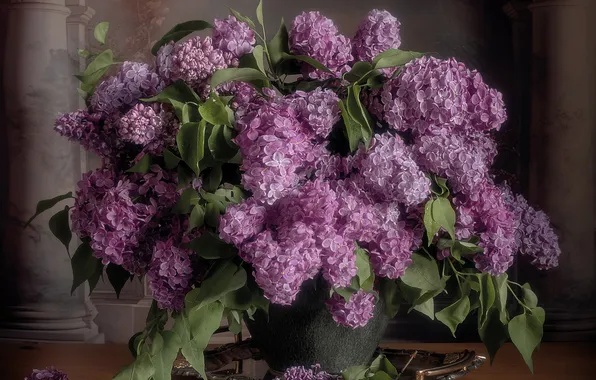 Bouquet, vase, lilac, Victoria Shamanova