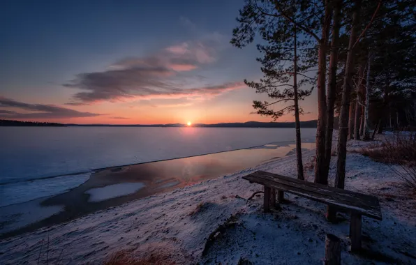 Picture the sun, rays, snow, trees, landscape, nature, lake, shore