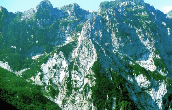 The sky, trees, mountains, tops