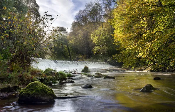 Morning light, Water of Leith, Colinton Dell, Bonny Scotland
