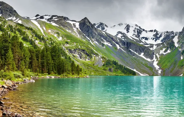 Forest, snow, nature, tops, mountain lake