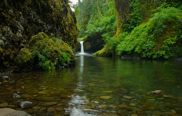 Trees, mountains, lake, stones, rocks, waterfall, stream