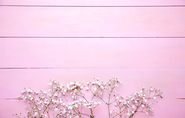 Flowers, background, pink, white, pink, flowers, background, wooden