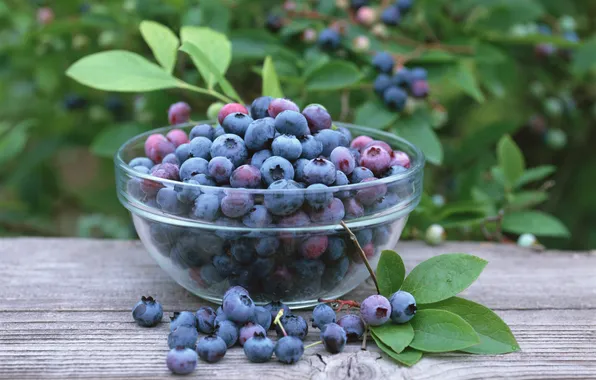 Berries, vase, delicious