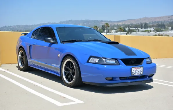 Picture Mustang, Ford, 2004, Anniversary, 40th