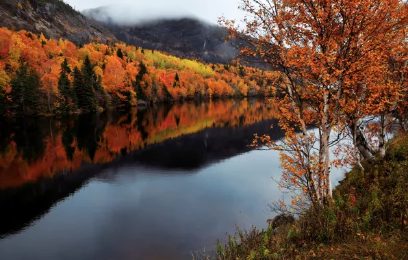 Picture autumn, river, Canada, Humber River, Newfoundland and Labrador