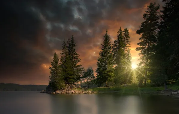 FOREST, The SKY, The SUN, POND, CLOUDS, LIGHT, TREES, RAYS