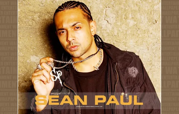 Sean Paul, Sean Paul, reggae music