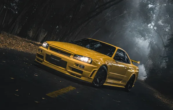 Tuning, Nissan, Cars, Skyline, Nissan Skyline, Tuning, Godzilla, Nismo