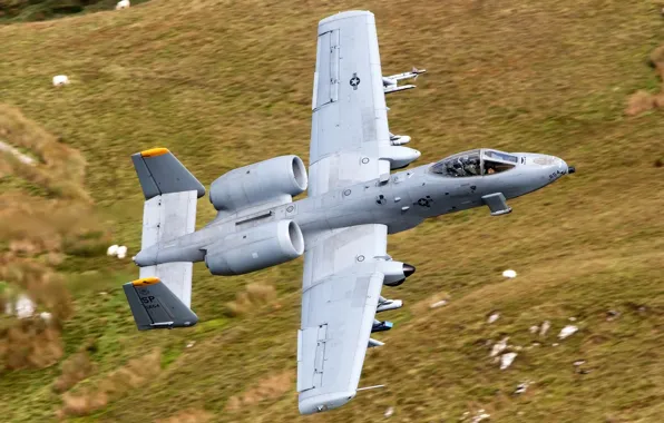 Cabin, pilot, flight, attack, A-10, Thunderbolt II