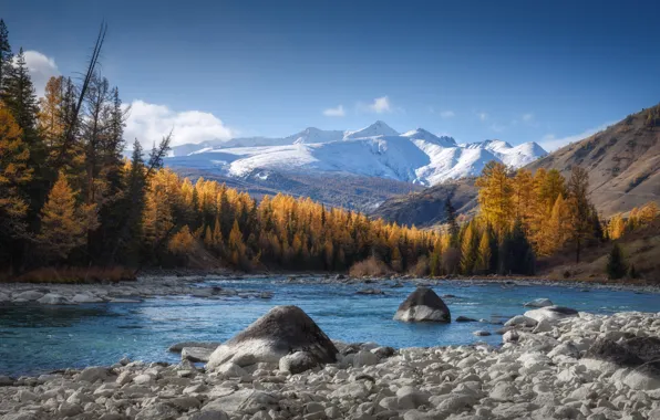 Picture autumn, forest, landscape, mountains, nature, river, stones, Bank