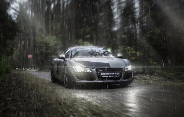 Car, machine, auto, forest, fog, rain, Audi, audi