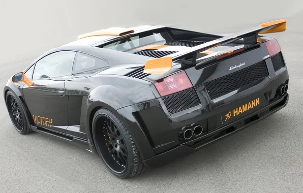 Speed, Lamborghini, rocket, Hamann