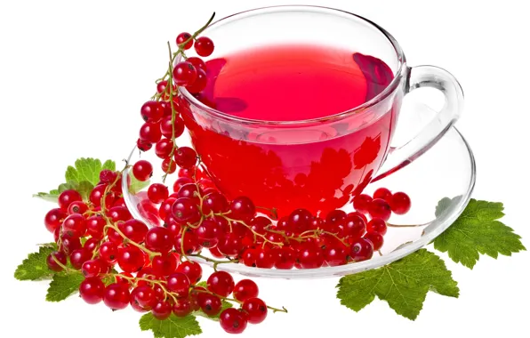 Tea, white background, red, currants, tea, currant