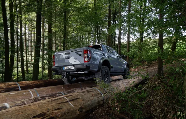 Picture grey, Ford, Raptor, pickup, ass, logs, Ranger, 2019