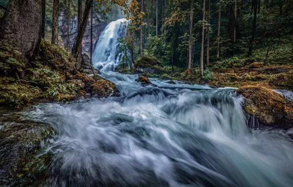 Autumn, forest, river, waterfall, Austria, Austria, Salzburg, Salzburg