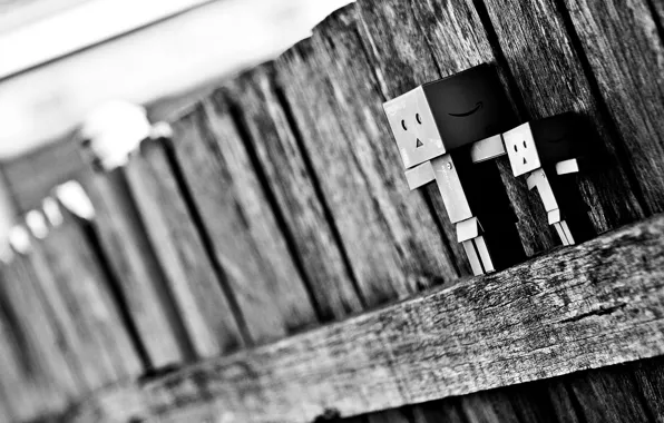 Macro, box, the fence, black and white, blur, danbo