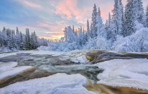 Picture winter, forest, snow, river, Russia, The Kola Peninsula, Murmansk oblast, Maxim Evdokimov