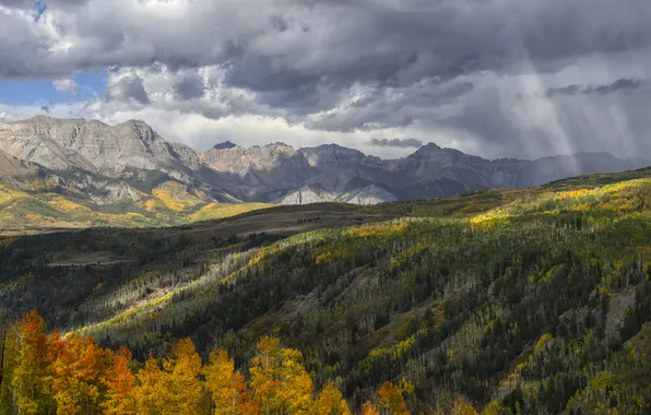 Autumn, forest, the sky, clouds, light, trees, mountains, fog