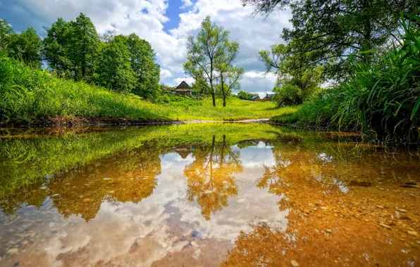Picture summer, landscape, river
