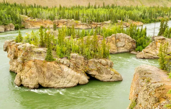 Forest, trees, river, rocks, Canada, Yukon Territory, Five Finger Rapids, Treacherous Rock islands