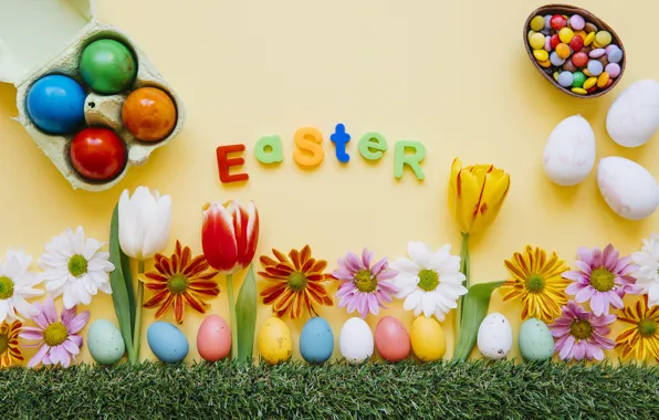 Grass, flowers, chamomile, spring, colorful, Easter, tulips, chrysanthemum