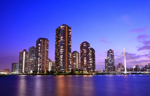 Picture the sky, clouds, bridge, lights, river, skyscrapers, the evening, Japan