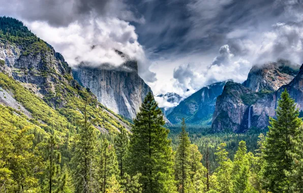 Mountains, Trees, Landscape, Yosemite National Park