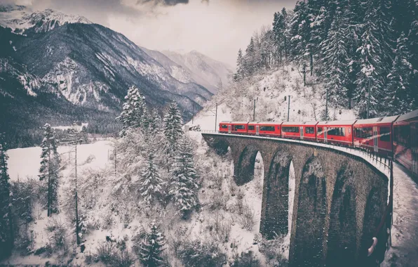 Winter, forest, snow, mountains, red, bridge, view, train