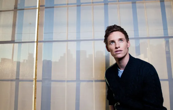 Portrait, actor, Eddie Redmayne, Eddie Redmayne