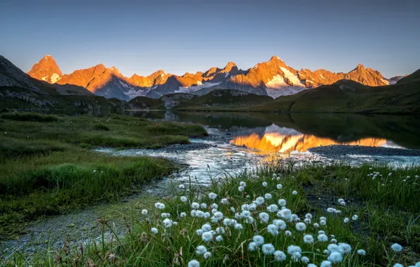 Light, flowers, mountains, lake