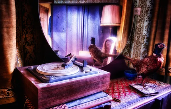 Picture music, background, gramophone