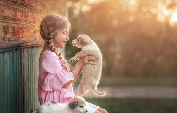 Picture joy, puppies, girl, shop, child, puppies, The goat of Martha