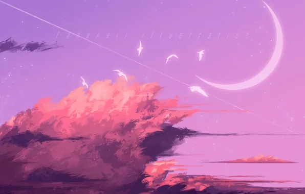 The sky, birds, Crescent