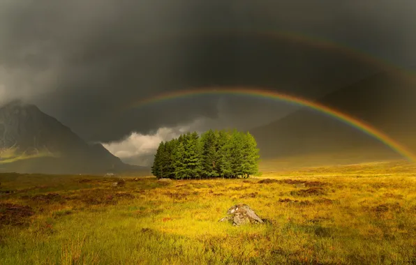 Picture field, trees, mountains, rainbow