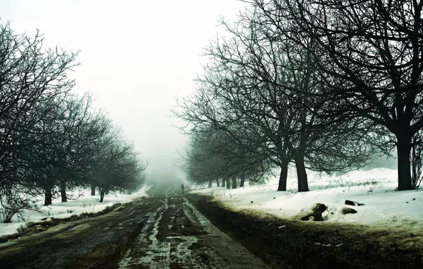 Winter, road, snow, haze, traveler
