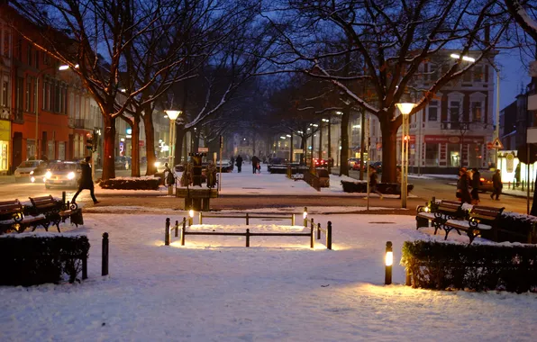 Winter, the sky, snow, trees, night, city, the city, lights