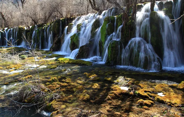 Picture trees, waterfall, moss