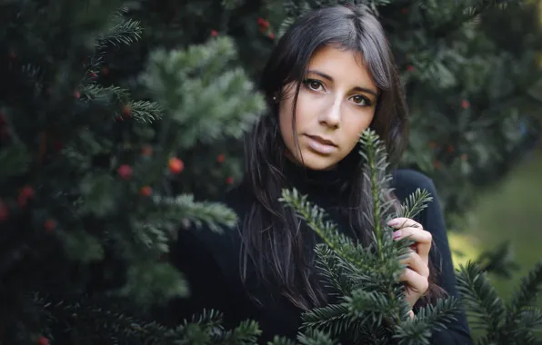 Picture look, girl, branches, spruce, brunette, tree