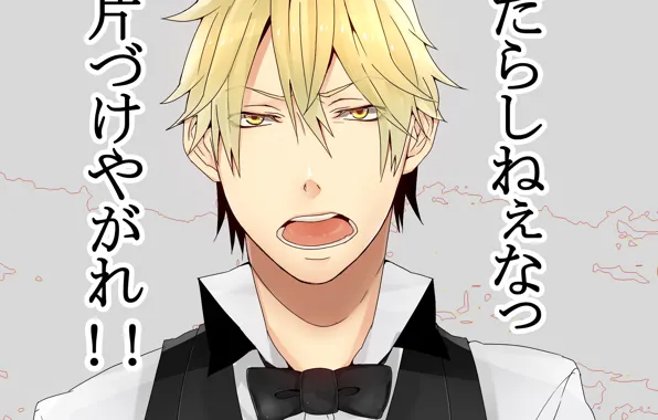 Dissatisfaction, Durarara, Heiwajima Shizuo, Durarara, Shizuo Heiwajima
